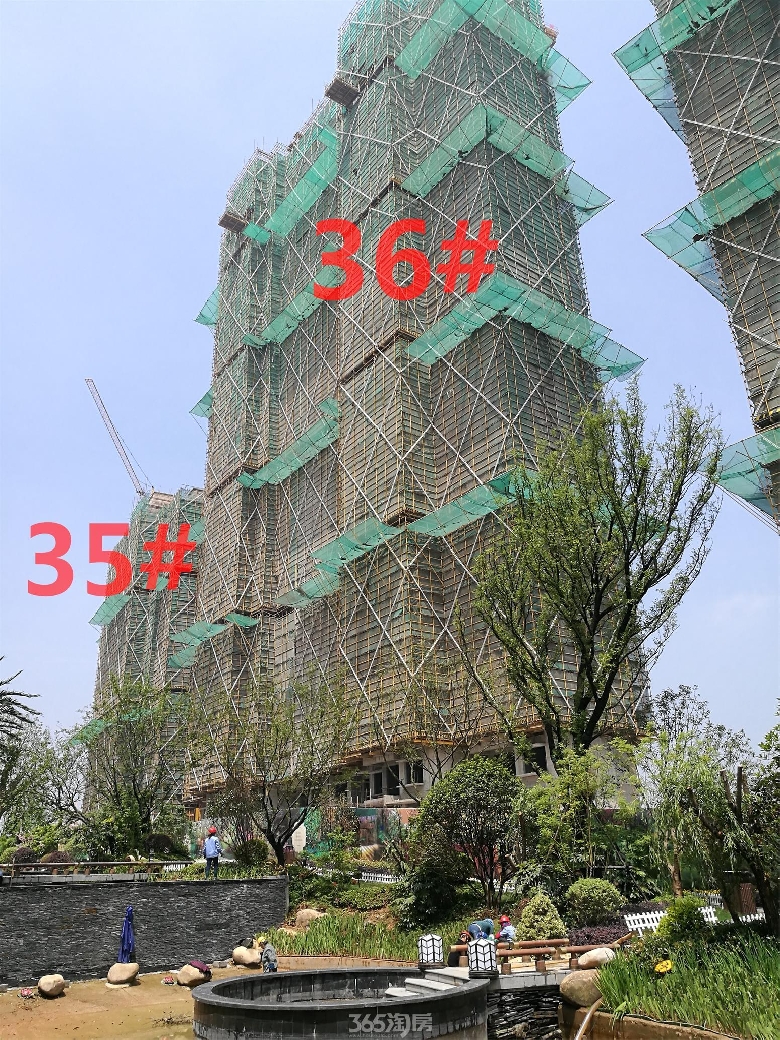 3333.jpg