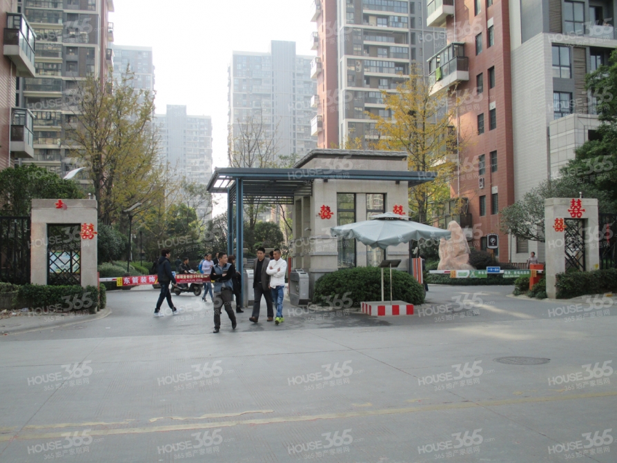 合肥租房人口_合肥人口增长图(3)