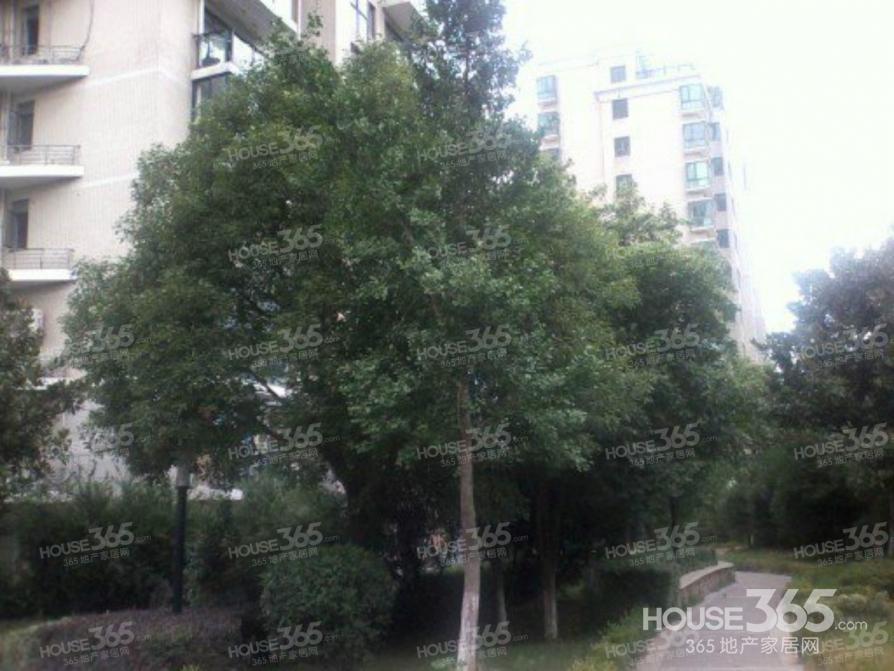 【【大贺优质房源】 低价出售 新空毛坯 满五年