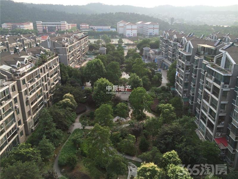 挪威人口密度_这才是真正的深圳,大深圳