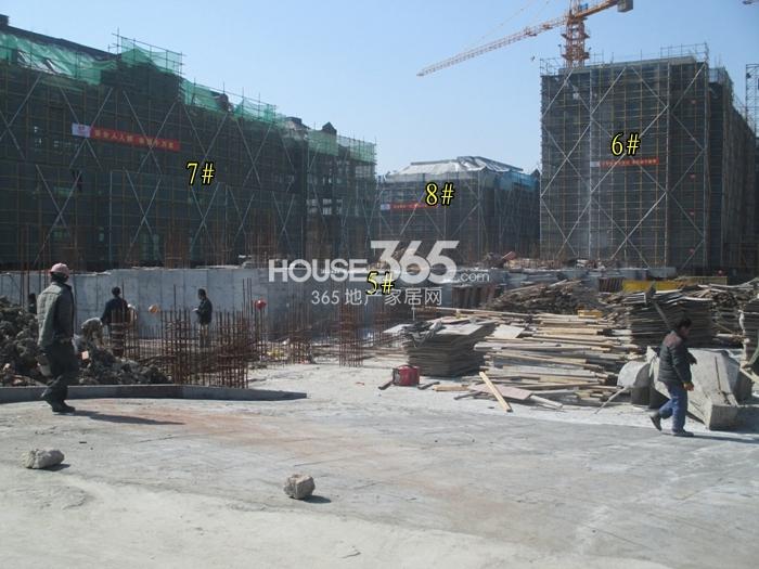 西溪君庐项目5、6、7、8号楼施工进程图（2015.2）