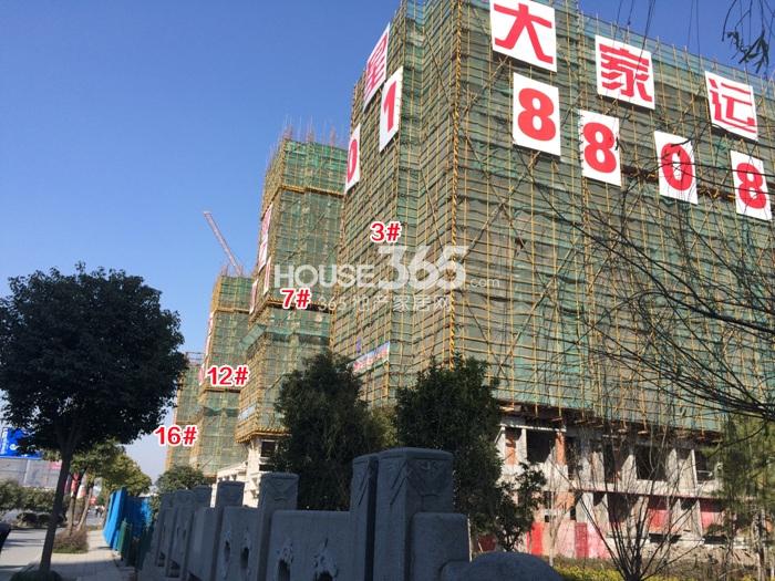 2015年2月大家运河之星项目实景--3、7、12、16号楼