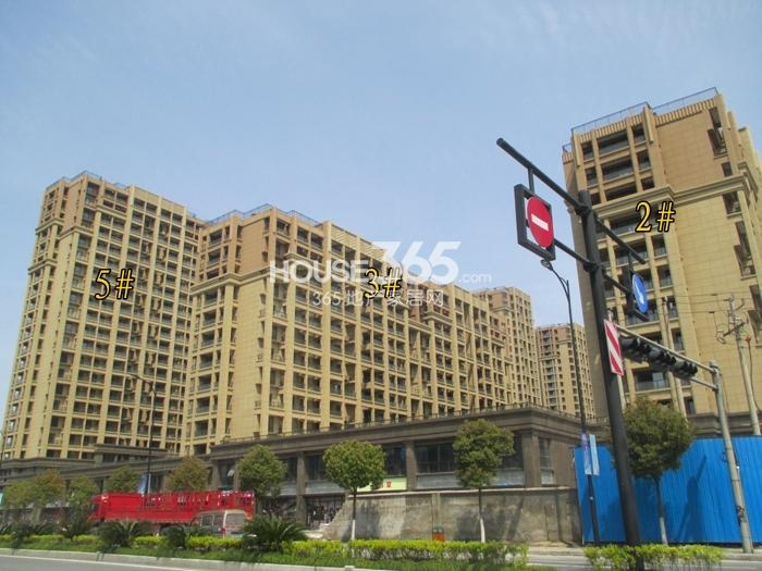 城发云锦城2、3、5号楼施工实景图 （2015年3月摄）
