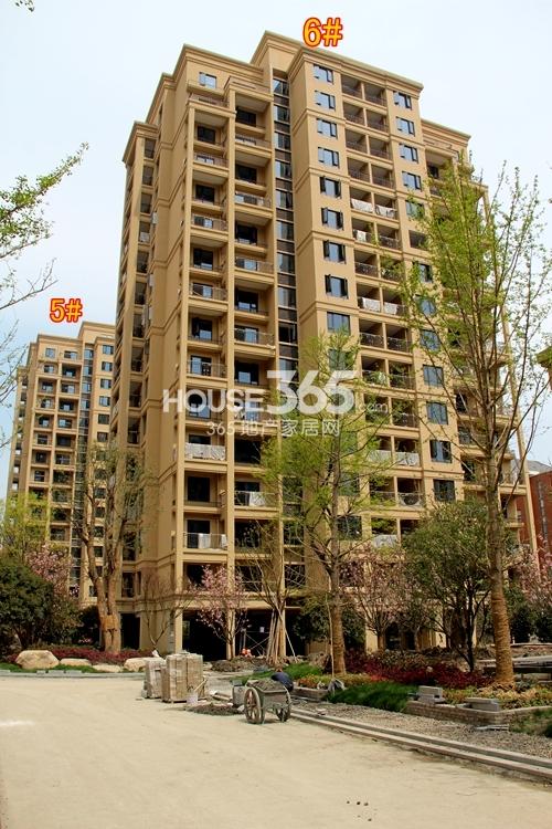 广大融城印象5、6号楼施工进度 2015年4月摄
