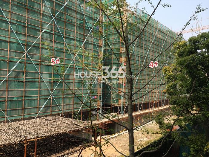 朗诗花漫里项目4、5号楼施工进程图（2015.4）