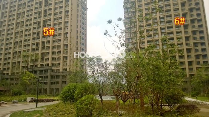 城发云锦城5、6号楼施工实景图 2015年5月摄