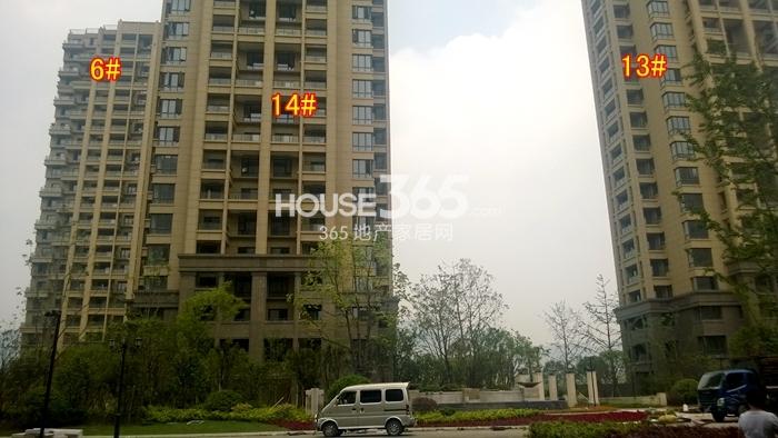城发云锦城6、13、14号楼施工实景图 2015年5月摄