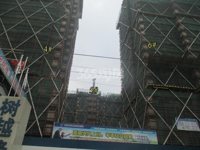 绿城蓝庭4、5、6号楼施工进程图（2015.6）
