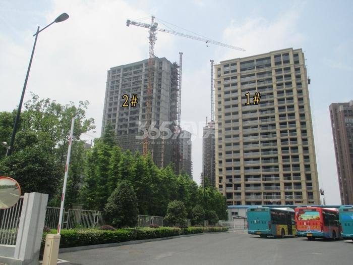 绿城莲园项目1、2号楼施工进程图（2015.6）