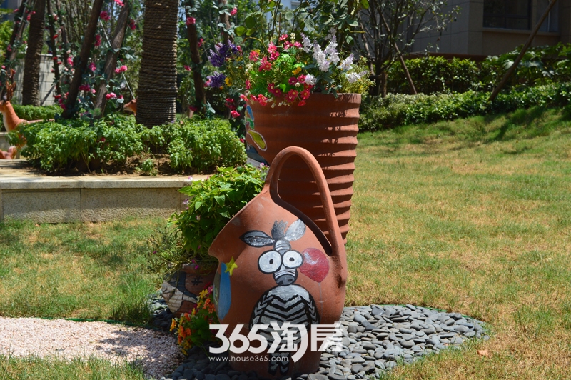 御景城小区花盆实景图（2015.8.3）