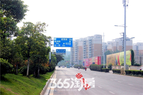 正奇金融广场周边马路（2015.9.24）