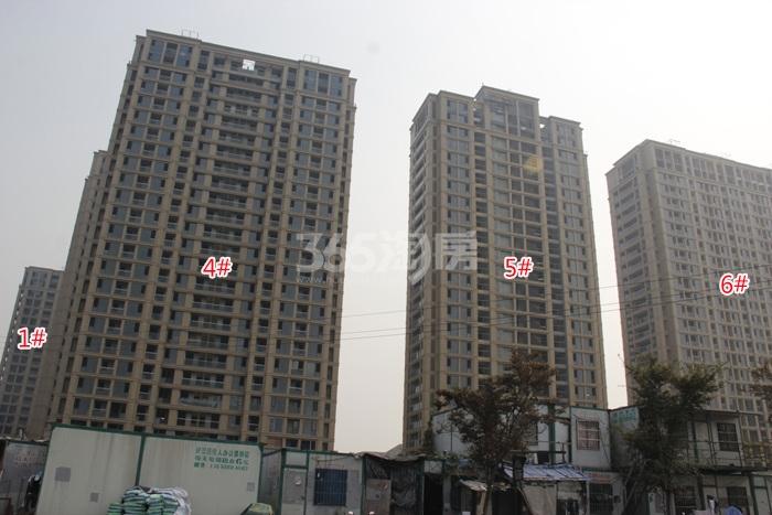 绿城莲园项目1、4—6号楼施工实景图（2015.10）