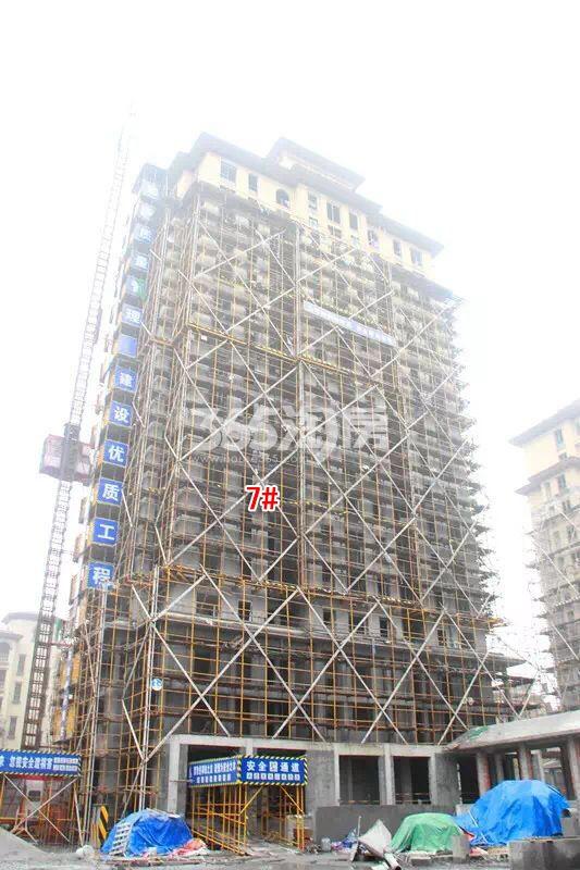 绿城蓝庭项目7号楼施工进程图（2015.12）