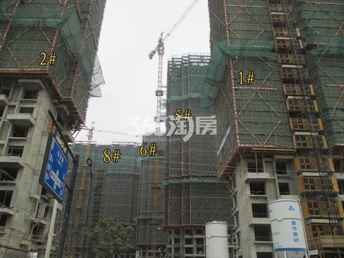 余之城项目1、2、5、6、8号楼施工进程图（2016.1）