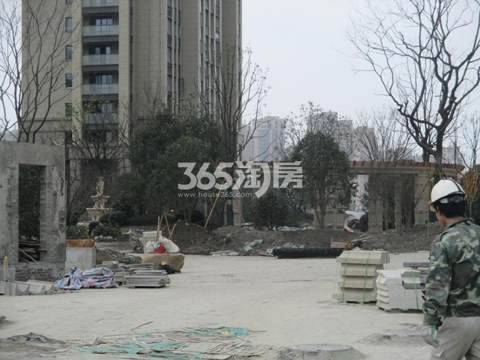 百翘香江园区绿化实景图 2016年1月摄