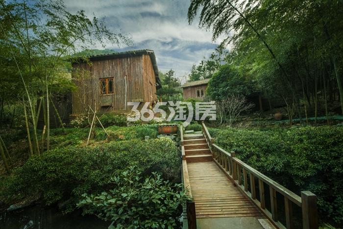 上林湖景观实景图