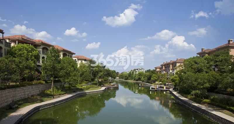 西溪风情花园观止苑项目临水实景图