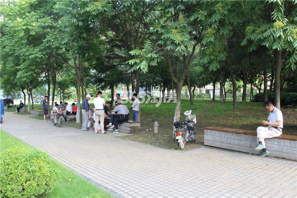 宝龙城市广场周边设施蝶湖公园实景