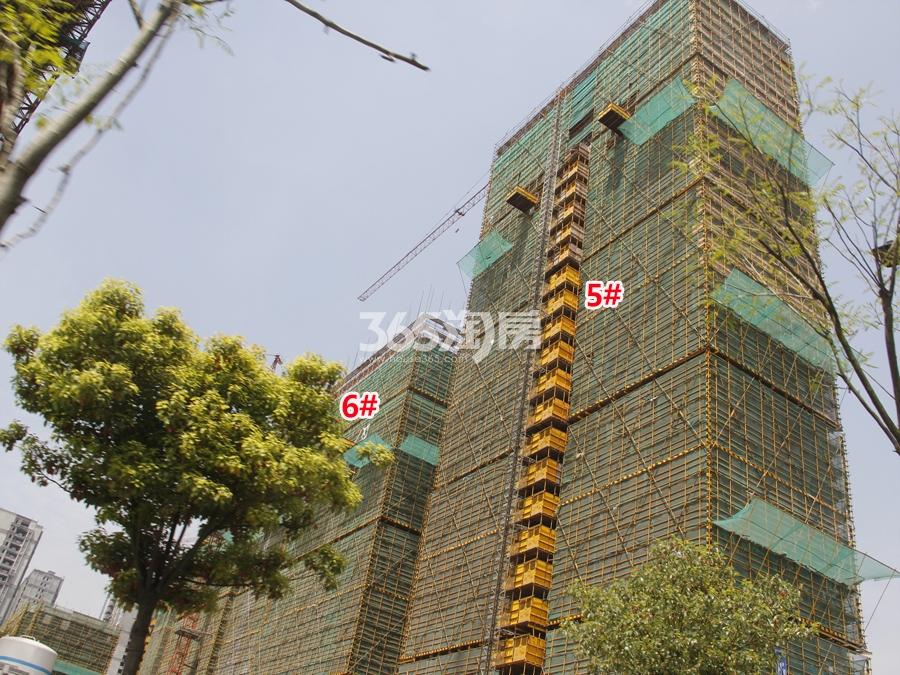 滨江江南之星5、6号楼施工实景图 2017年4月摄